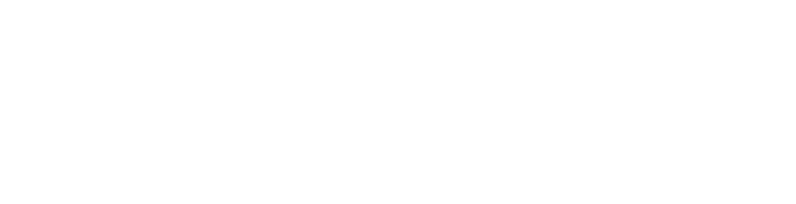 合作伙伴21